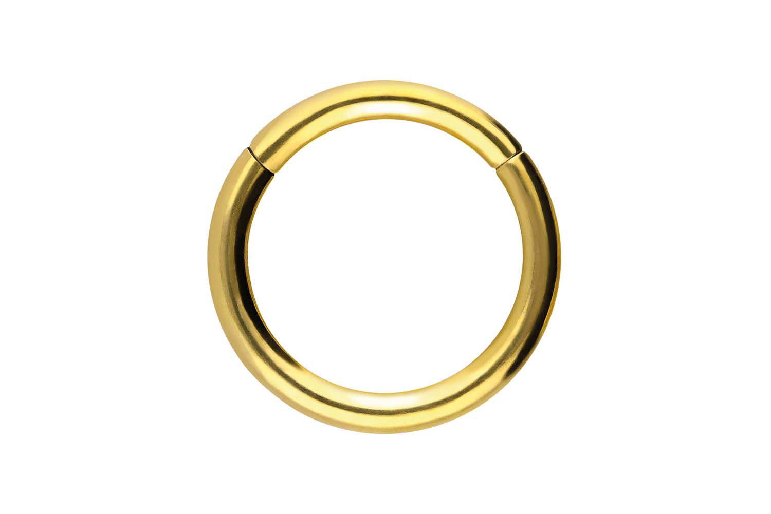 Chirurgenstahl Segmentring Clicker Piercing